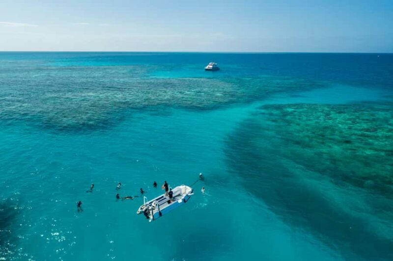 Cairns: Outer and Coral Cay Snorkel and Dive Cruise - Why Choose This Tour?