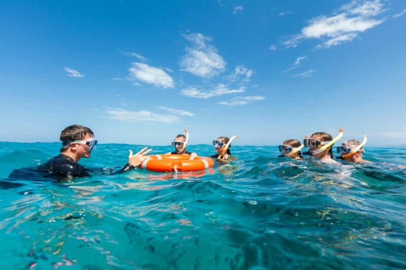 Cairns: Outer and Coral Cay Snorkel and Dive Cruise - What We Loved & What to Consider