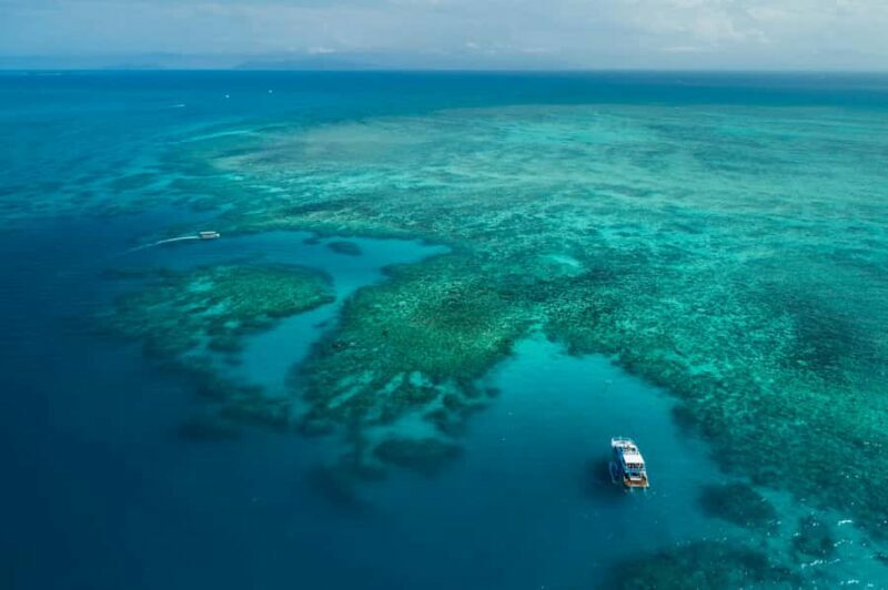 Cairns: Outer and Coral Cay Snorkel and Dive Cruise - Final Thoughts