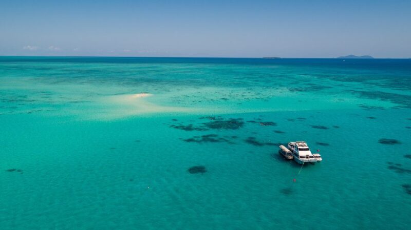Cairns: Outer and Coral Cay Snorkel and Dive Cruise - Snorkeling With a Naturalist