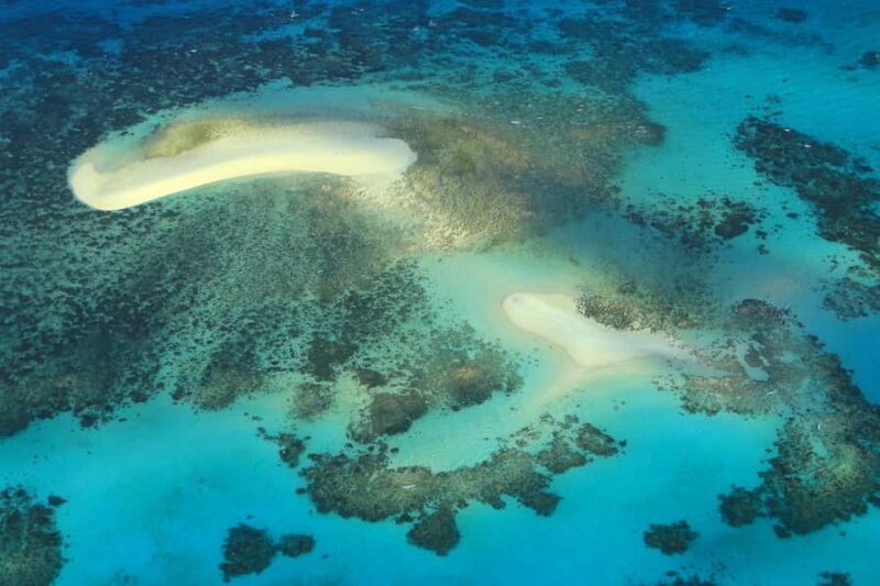 Cairns: Outer Edges of The Great Barrier Reef Scenic Flight - Authentic Reviewer Insights