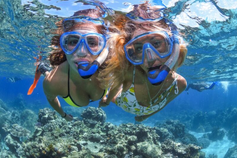 Cairns: Outer Great Barrier Reef Full-Day Tour With Lunch - 5 Hours of Snorkeling