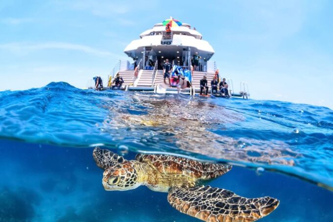 Cairns: Outer Great Barrier Reef Full-Day Tour With Lunch - Frequently Asked Questions