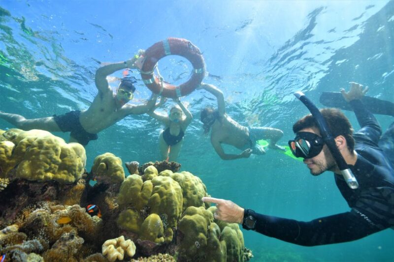 Cairns: Outer Great Barrier Reef Pontoon With Activities - Spacious Multi-Level Pontoon Facility