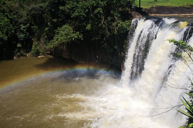 Cairns Paronella Park Herberton and Wild Life Tour - Included in the Tour
