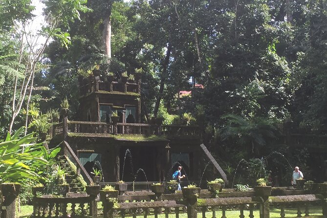 Cairns Paronella Park Herberton and Wild Life Tour - Tour Reviews and Feedback