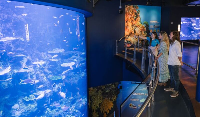 Cairns: Pre-Opening Guided Tour of the Cairns Aquarium - Key Points