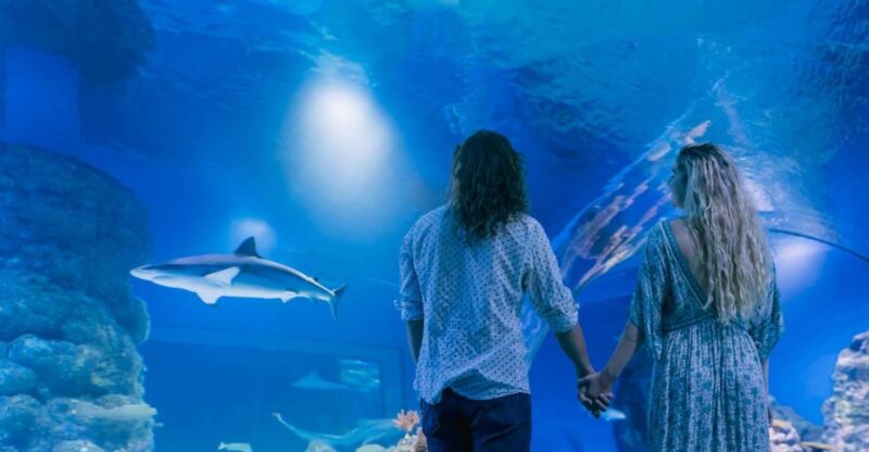 Cairns: Pre-Opening Guided Tour of the Cairns Aquarium - Activity and Duration