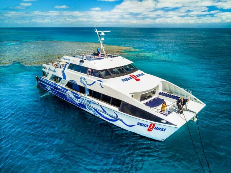 Cairns: Premium Snorkelling and Diving Reef Day Trip - Key Points