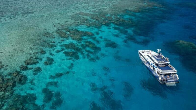 Cairns: Premium Snorkelling and Diving Reef Day Trip - Getting There: From Cairns Marina to the Reef