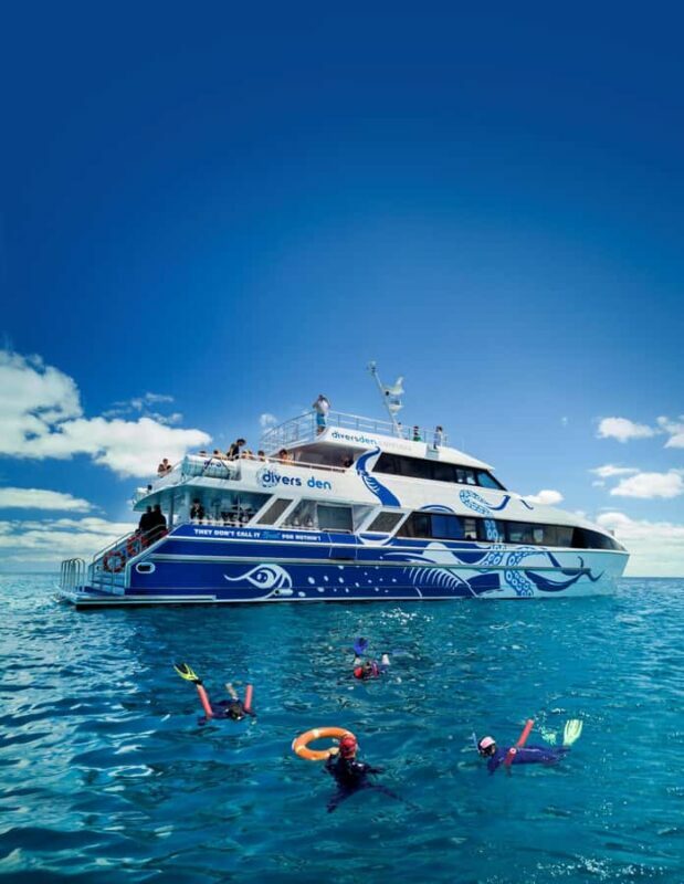 Cairns: Premium Snorkelling and Diving Reef Day Trip - Equipment and Comfort