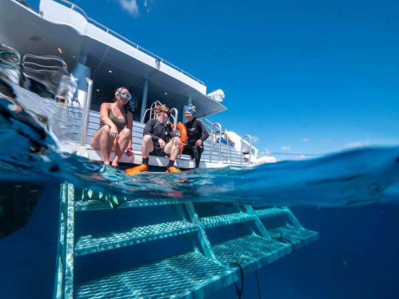 Cairns: Premium Snorkelling and Diving Reef Day Trip - The Food and Relaxation