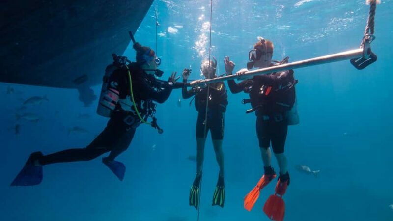 Cairns: Premium Snorkelling and Diving Reef Day Trip - Final Words