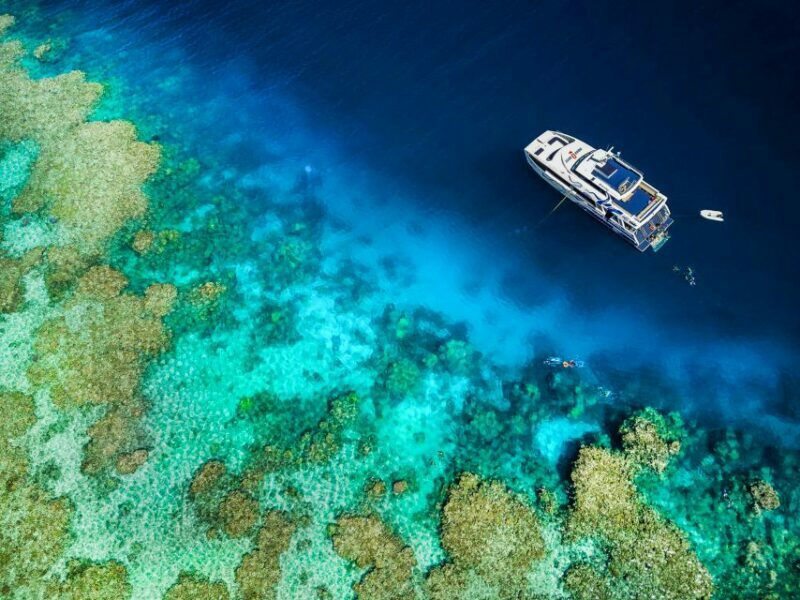 Cairns: Premium Snorkelling and Diving Reef Day Trip - FAQ