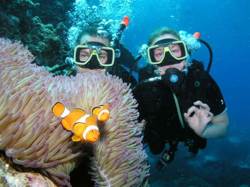 Cairns: Pro Dive Great Barrier Reef 3 Day/2 Night Dive Trip - Why Choose This Trip?