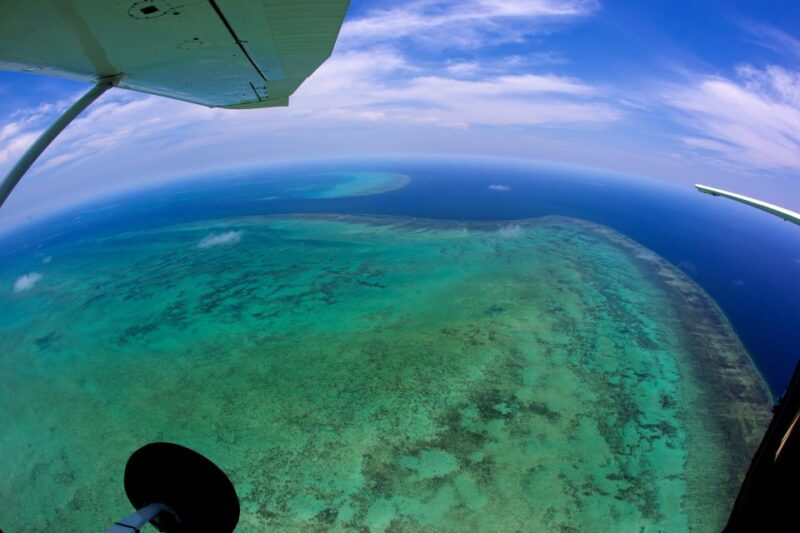 Cairns: Reef & Port Douglas Scenic Flight - Sights Covered