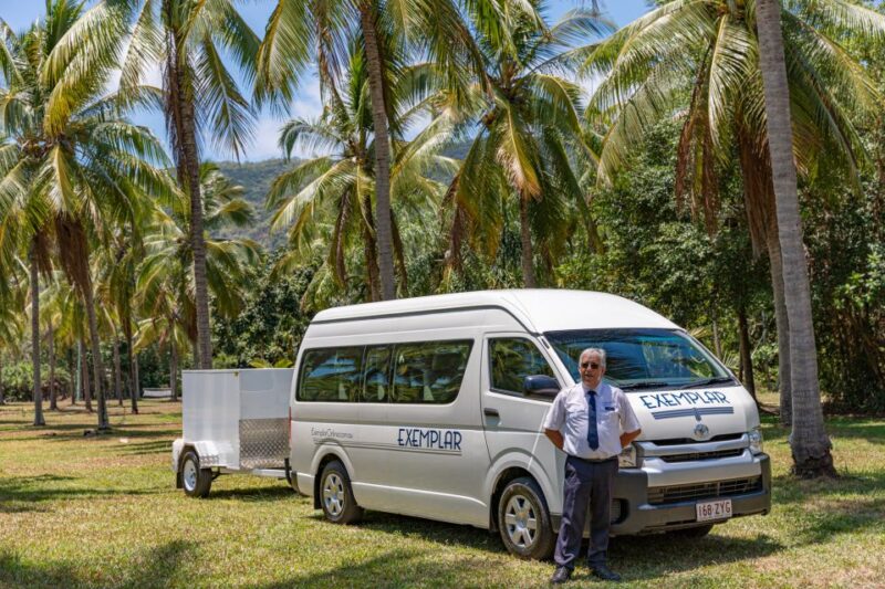 Cairns: Shared Airport Transfer To/From City and Beaches - Shared Airport Transfer to Palm Cove