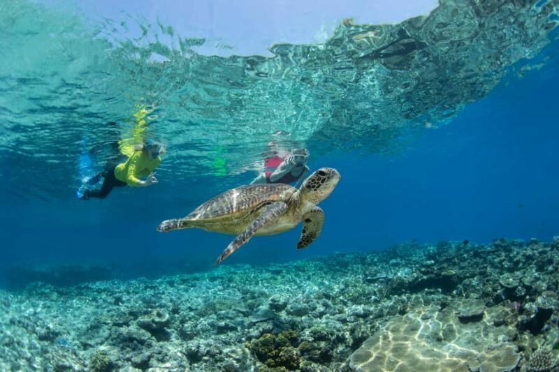 Cairns: Silverswift 3 Great Barrier Reef Sites in 1 Day - The Itinerary Breakdown