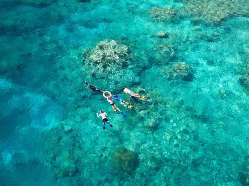 Cairns: Snorkelling and Diving Reef Day Trip - An Authentic Look at the Cairns Reef Day Trip