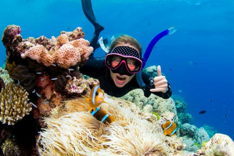 Cairns: Snorkelling and Diving Reef Day Trip - Final Thoughts