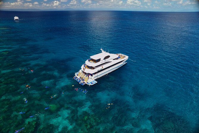 Cairns Super Saver: Reef Cruise, Daintree & Kuranda Rail/Skyrail - Frequently Asked Questions