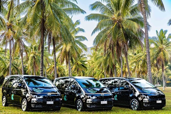 Cairns to Port Douglas (One Way) Private Transfer 1 to 6 Pax - Accessibility and Special Accommodations