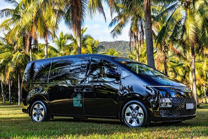 Cairns to Port Douglas ONE WAY Private Transfer 6 pax - Key Points