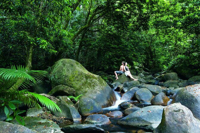 Cairns to Port Douglas ONE WAY Private Transfer 6 pax - The Review Buzz