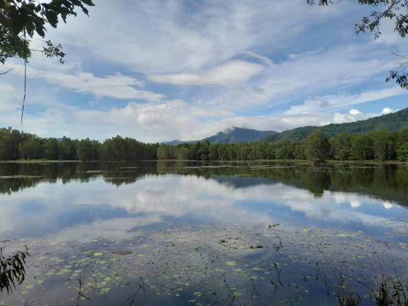 Cairns: Waterfall, Wetlands and Skyrail - Key Points