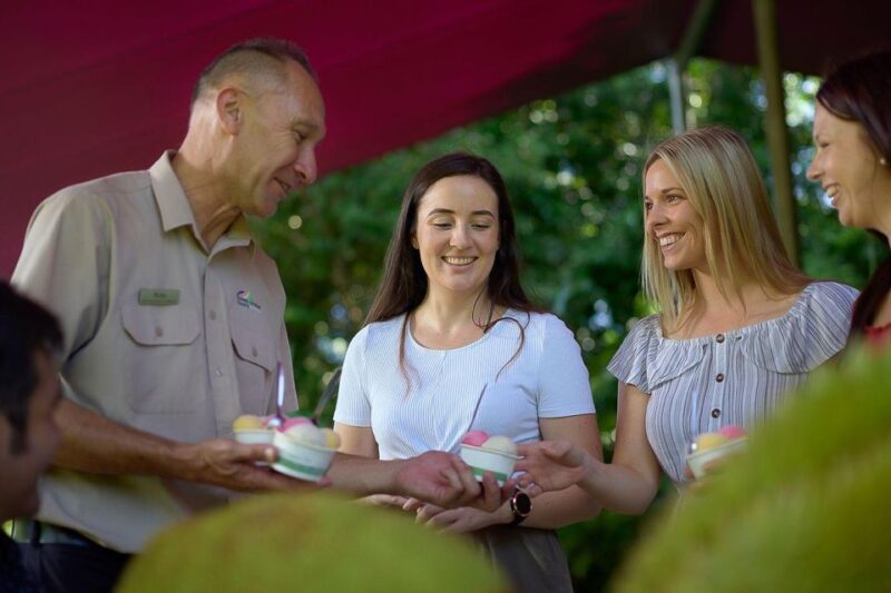 Cairns: Waterfall, Wetlands and Skyrail - Soaring on the Skyrail Rainforest Cableway