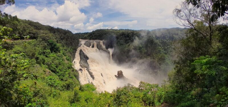 Cairns: Waterfall, Wetlands and Skyrail - Immersed in the Djabugay Culture