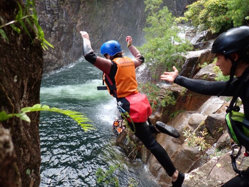 Cairns: Waterfalls and Rainforest Canyoning Experience - Thrilling Challenges for Explorers