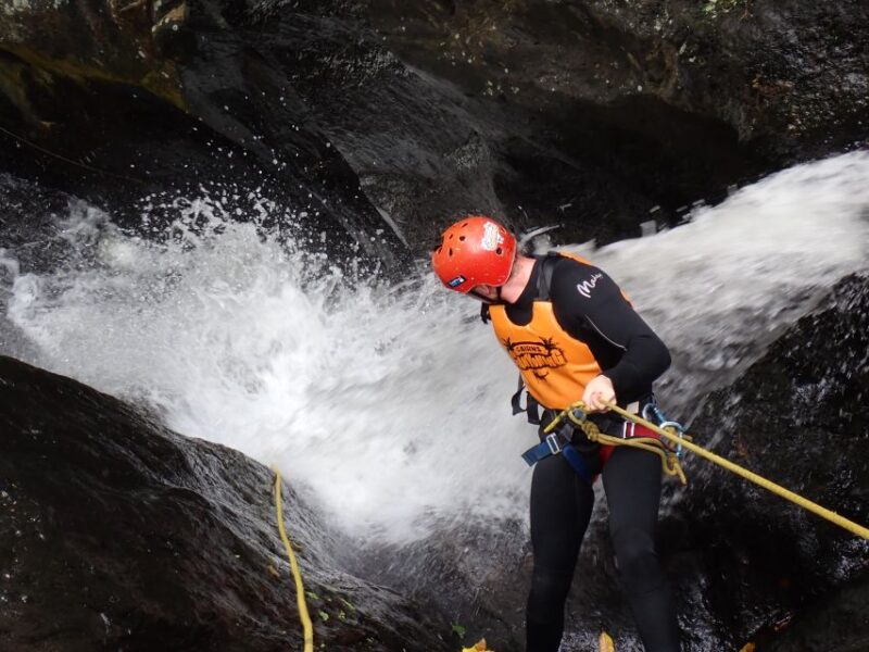 Cairns: Waterfalls Tour Full Day - Adventurous Activities in the Rainforest