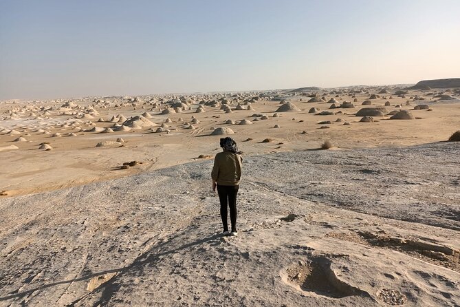 Cairo: 2-Day Bahariya Oasis Tour & White and Black Deserts Camping - Camping Experience