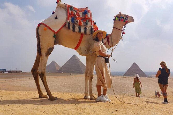 Cairo 8 Hour Private Tour Giza Pyramids Egyptian Museum Bazaar - Tour Details