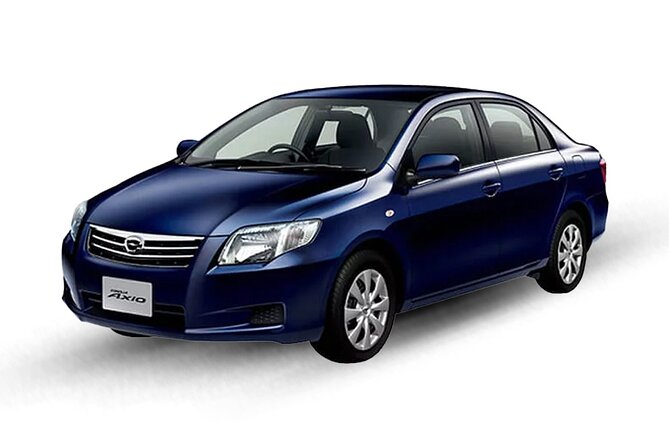 Cairo Airport Pickup With Meeting and Assist - Pricing Information