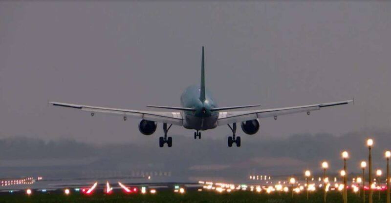 Cairo Airport: Private Transfer Service - Transfer Experience Details