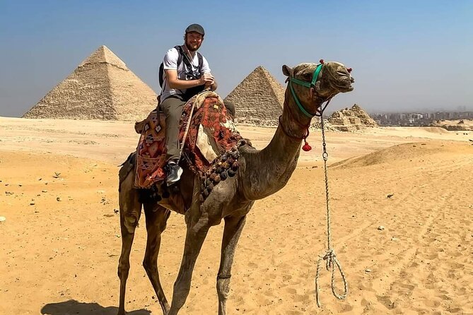 Cairo by Big Bus Full Day From Hurghada (Pyramids-Sphinx-Egyptian Museum-Lunch) - Egyptian Museum