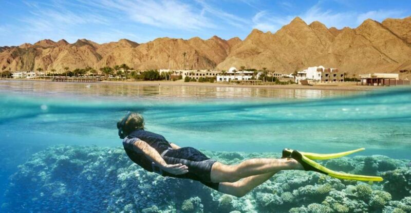 Cairo: Day Tour to the Red Sea With Lunch - Included in the Tour