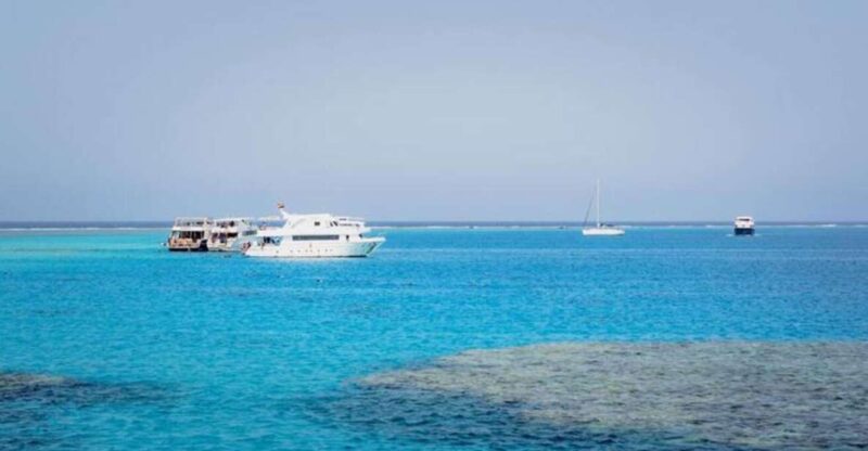 Cairo : Day Trip at the Red Sea at Stella Di Mare - Key Points