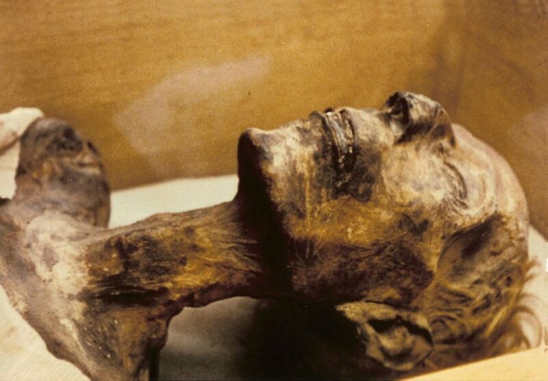 Cairo: Egyptian Museum 4-Hour Private Tour With Transfer - Transportation Arrangements