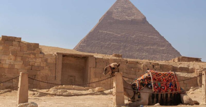 Cairo: Giza Pyramids & the Grand Egyptian Museum Guided Tour - Itinerary