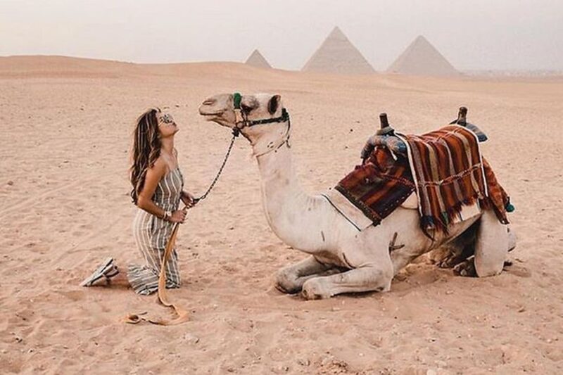 Cairo: Grand Egyptian Museum, Giza Pyramids and Sphinx Tour - Itinerary Highlights