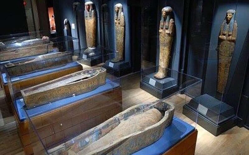 Cairo: HALF-DAY TOUR TO THE EGYPTIAN MUSEUM - Recap