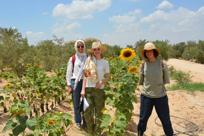 Cairo: Having Breakfast At Green Farm - Experience Highlights