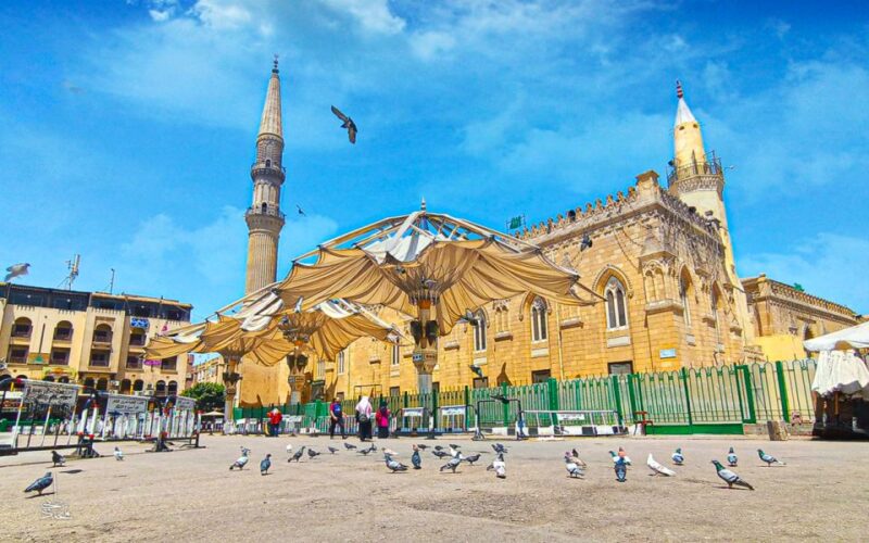 Cairo: Islamic Cairo and Mosques Private Sightseeing Tour - Key Points