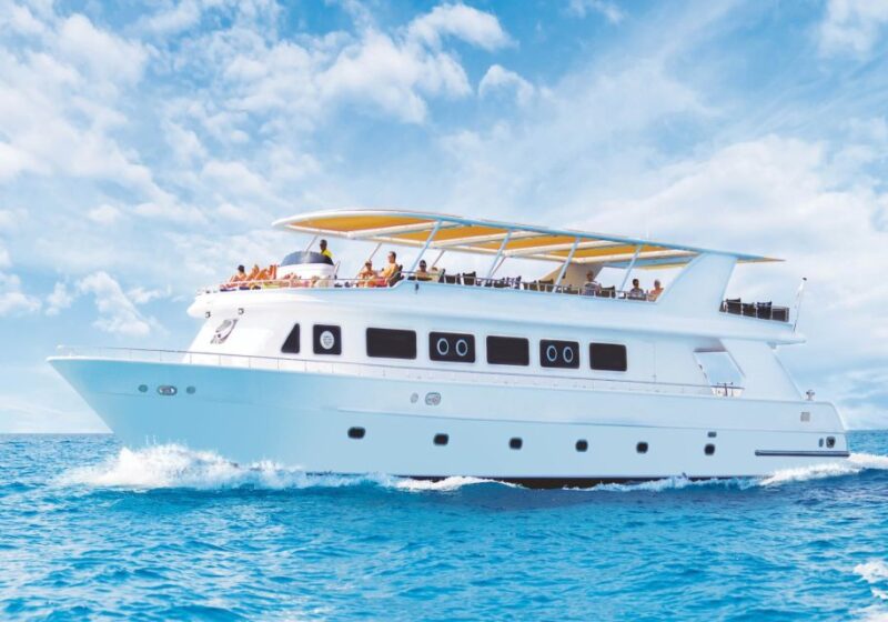 Cairo: Luxury Snorkeling Cruise & Lunch With Optional Pickup - Key Points