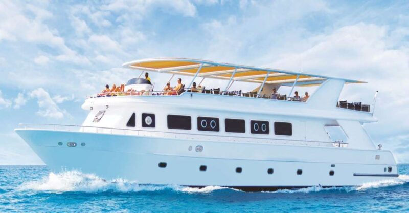 Cairo: Luxury Snorkeling Cruise & Lunch With Optional Pickup - Itinerary and Experience