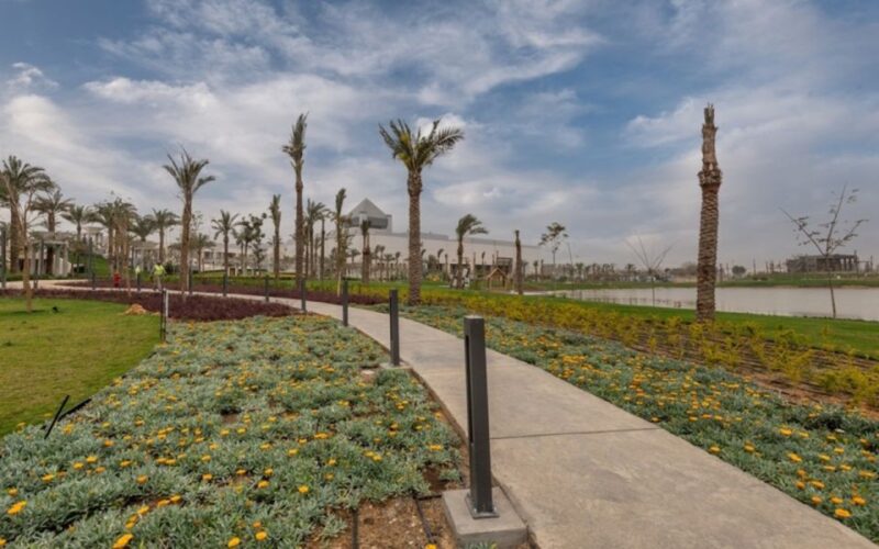 Cairo: National Museum, Cairo Citadel, and Bazaar Day Trip - Itinerary Highlights