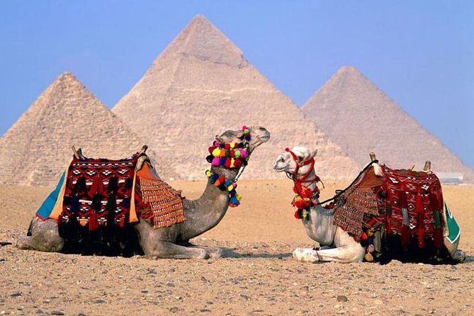 Cairo Over Day Pyramids & Egyptian Museum and Lunch - Hurghada - Pickup and Drop-off